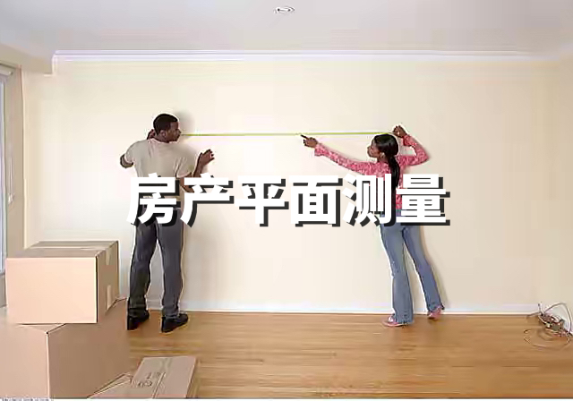 房產(chǎn)平面測(cè)量