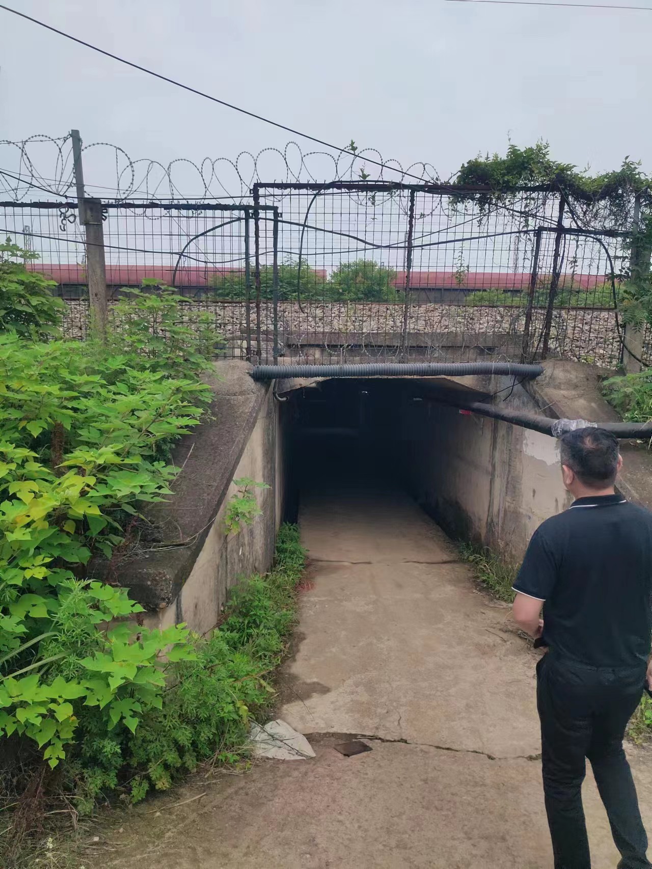 1689241568108952.jpg 1689241568108952.jpg